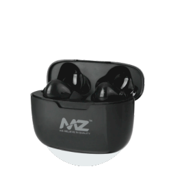 Earphones